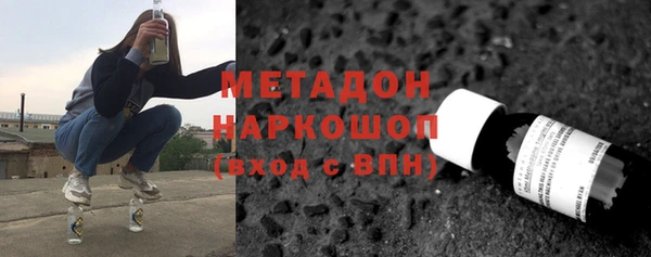 гашик Алексин
