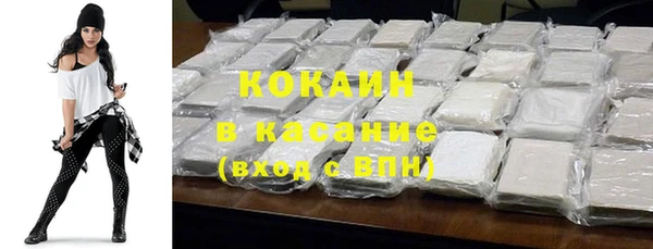 гашик Алексин