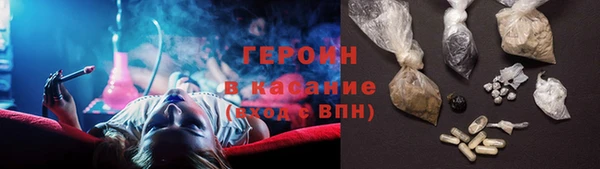 гашик Алексин