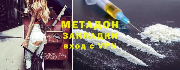 гашик Алексин