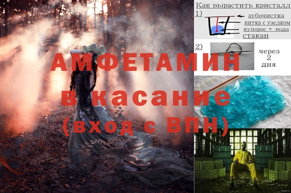 гашик Алексин