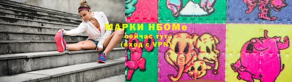 гашик Алексин