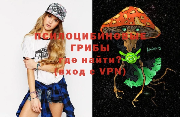 гашик Алексин