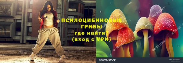 гашик Алексин