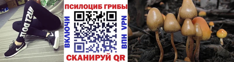 Псилоцибиновые грибы мухоморы  shop какой сайт  Каменка 
