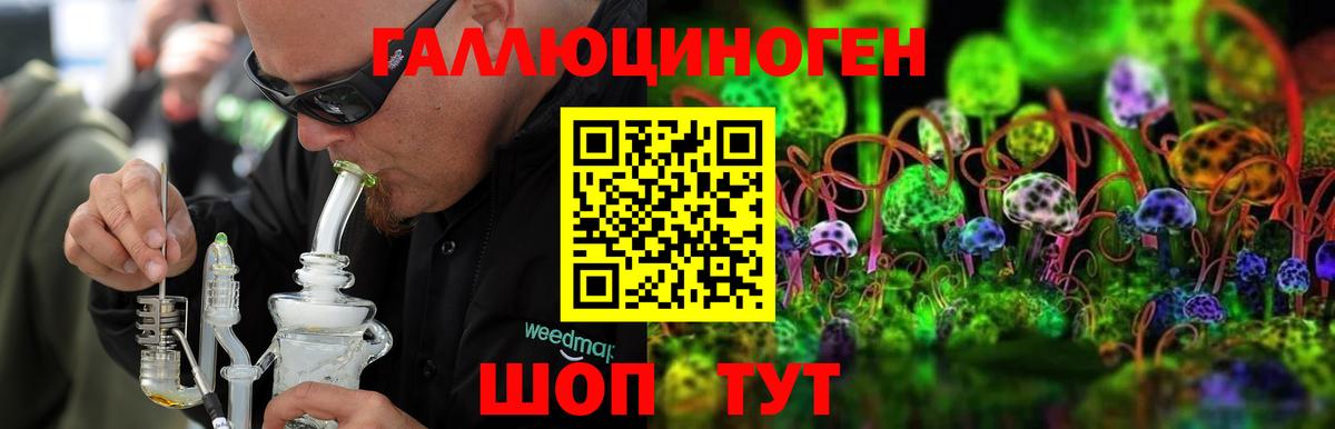 Псилоцибиновые грибы MAGIC MUSHROOMS  купить наркотик  Каменка  Вход с VPN 